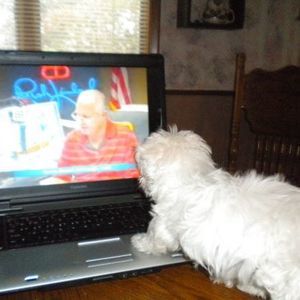 Meet your Posher, Sharon